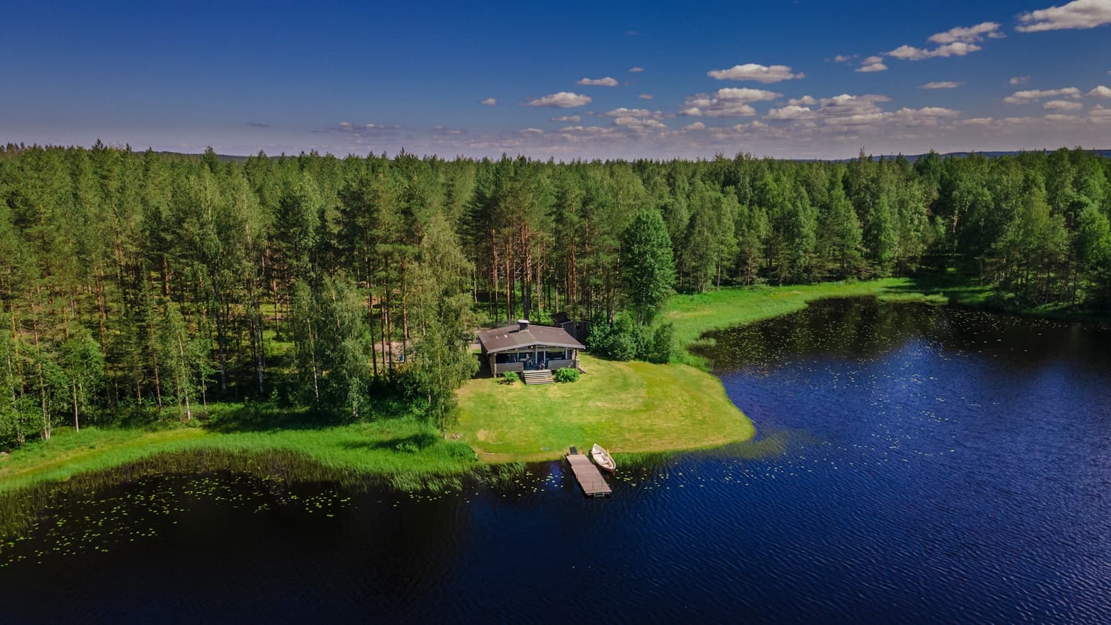 Sjö och skog i Norden en sommardag